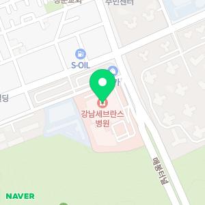 연세대학교 강남장례식장