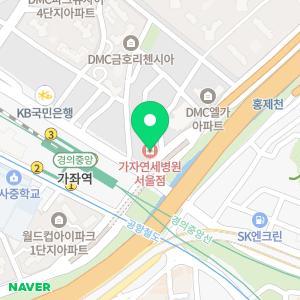 가자연세병원 서울