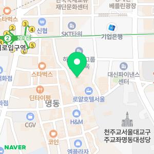 호텔 스카이파크 센트럴 명동점